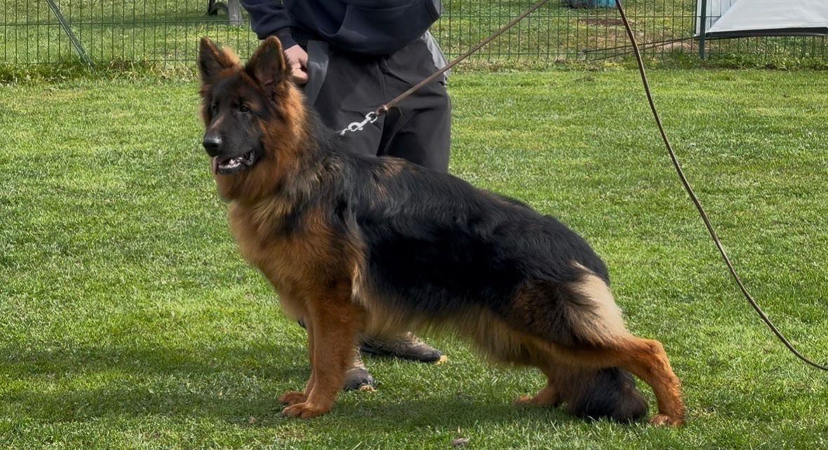 Publication : du val d'Anzin 