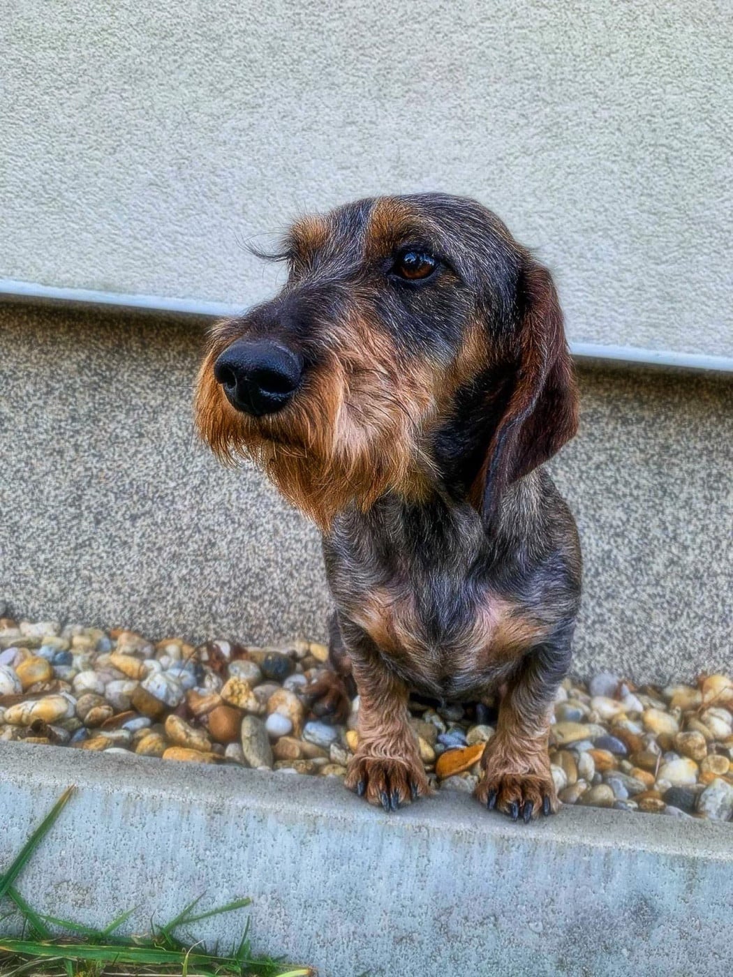 Publication : Kobeddus Auteur : Foto Caroline Geerts Kobeddus