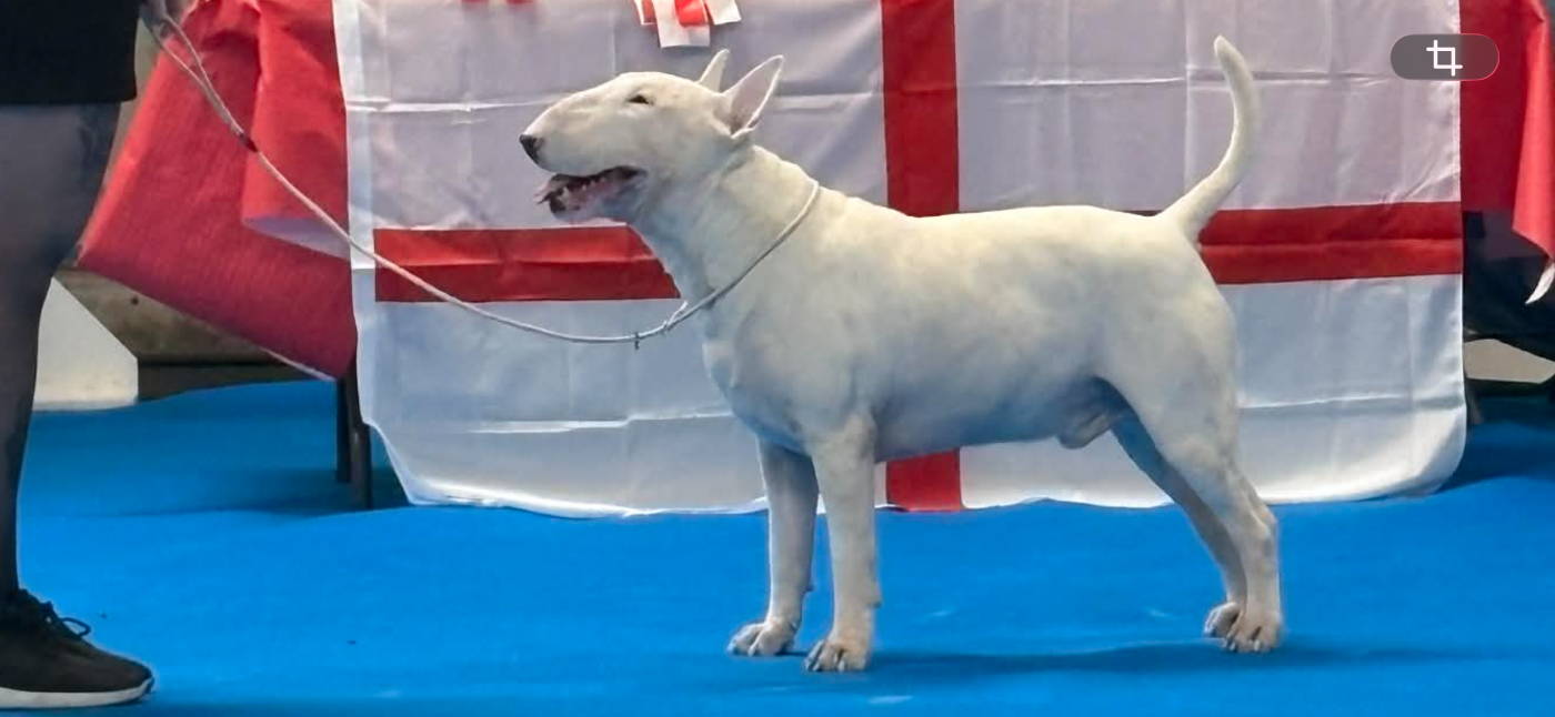 Publication : chuckson's 