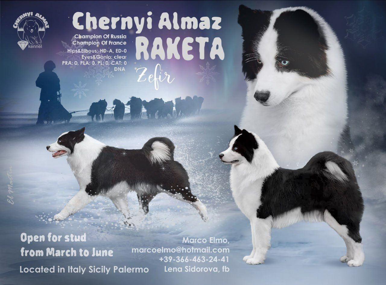 Publication : Dust Of Snow 