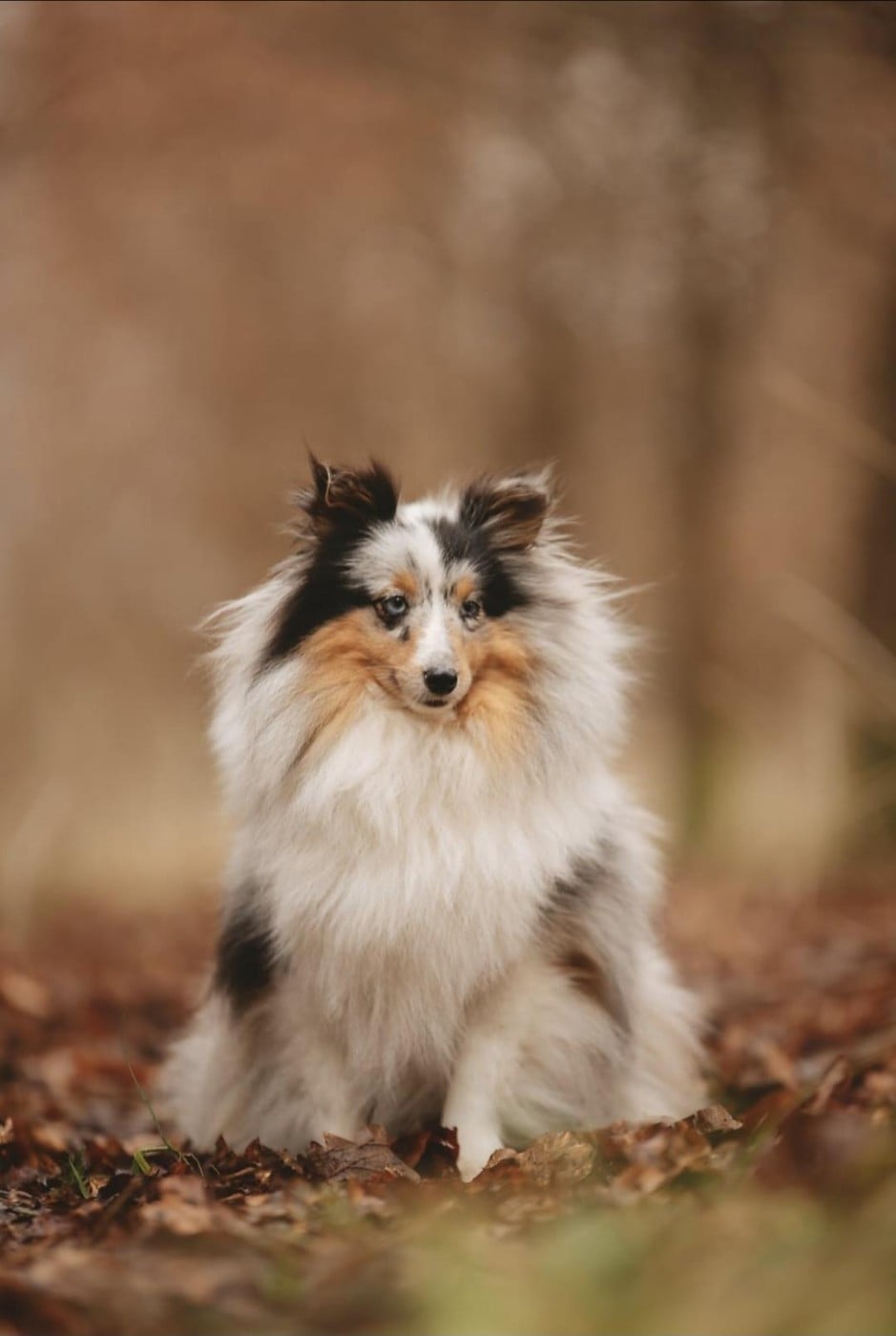 Publication : Du Domaine De Noa 