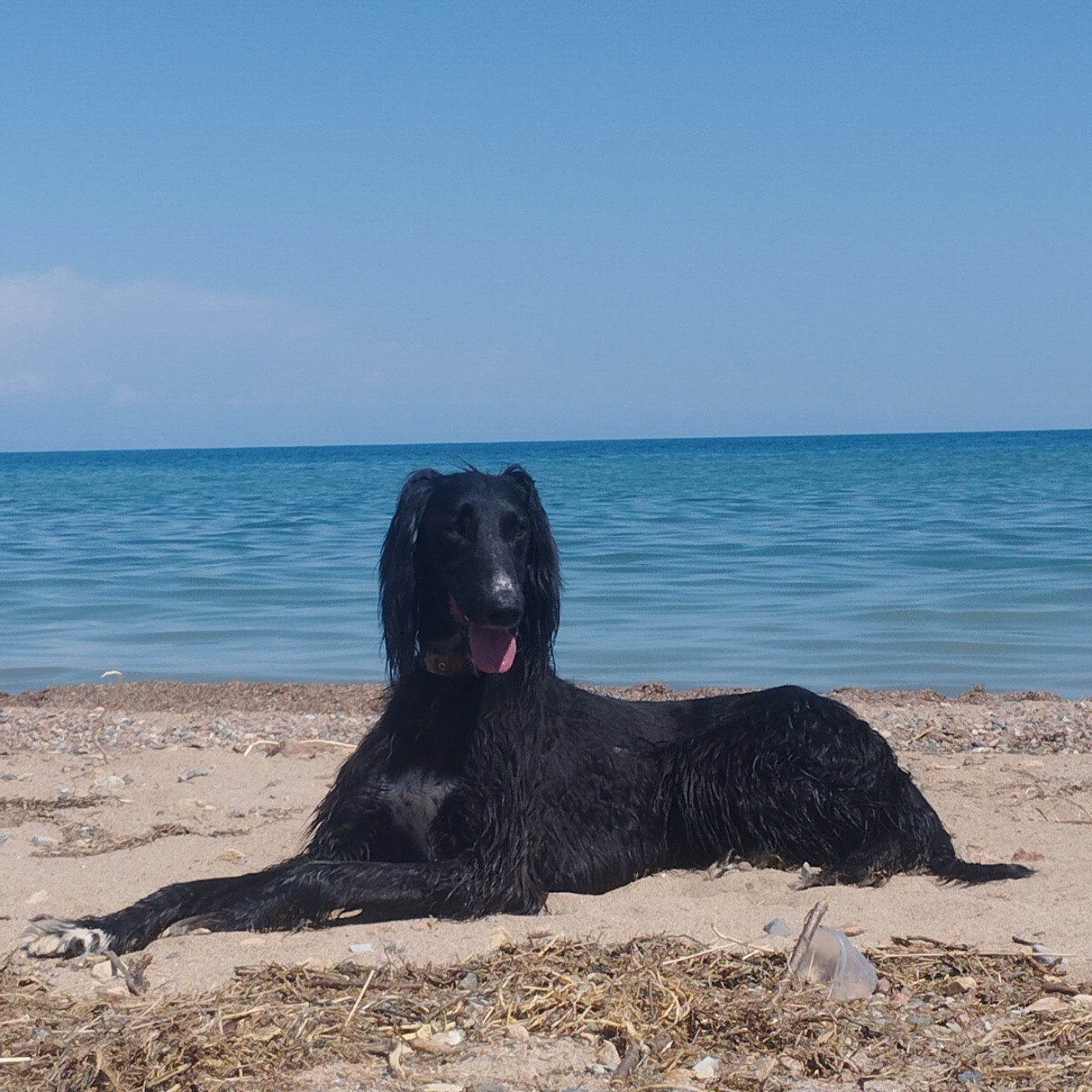 Publication : de garde-epée 