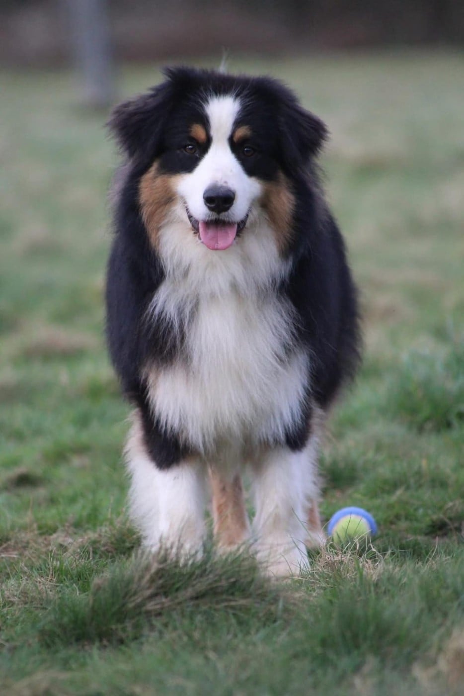 Publication : De La Vallée Du Bozançon 