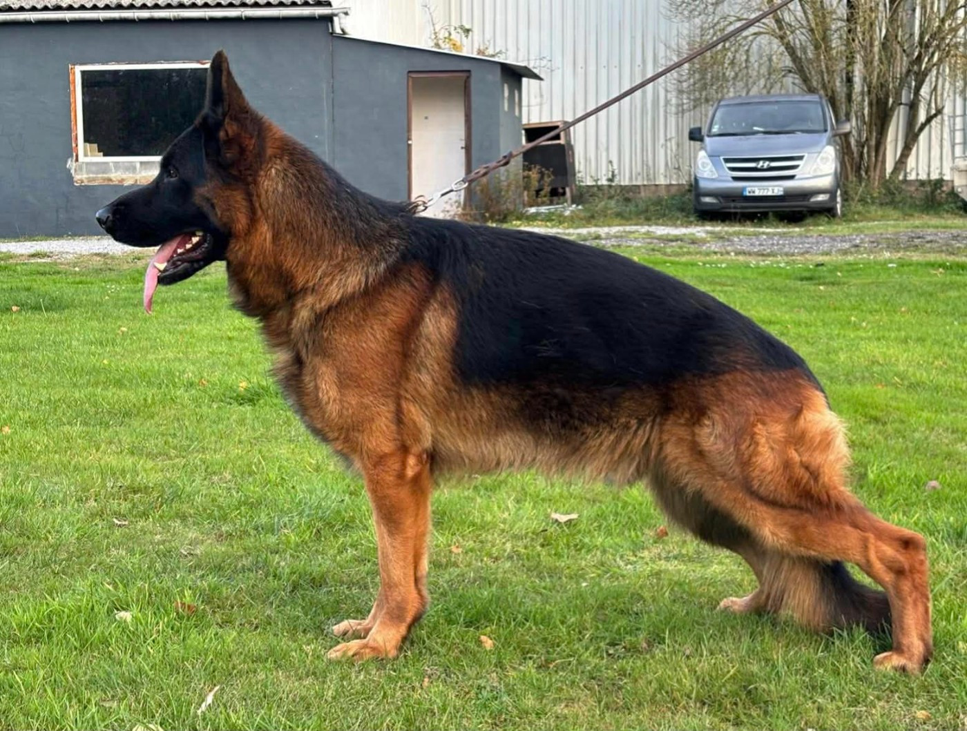 Publication : du Parc a Mitrailles Auteur : Destercq Luco