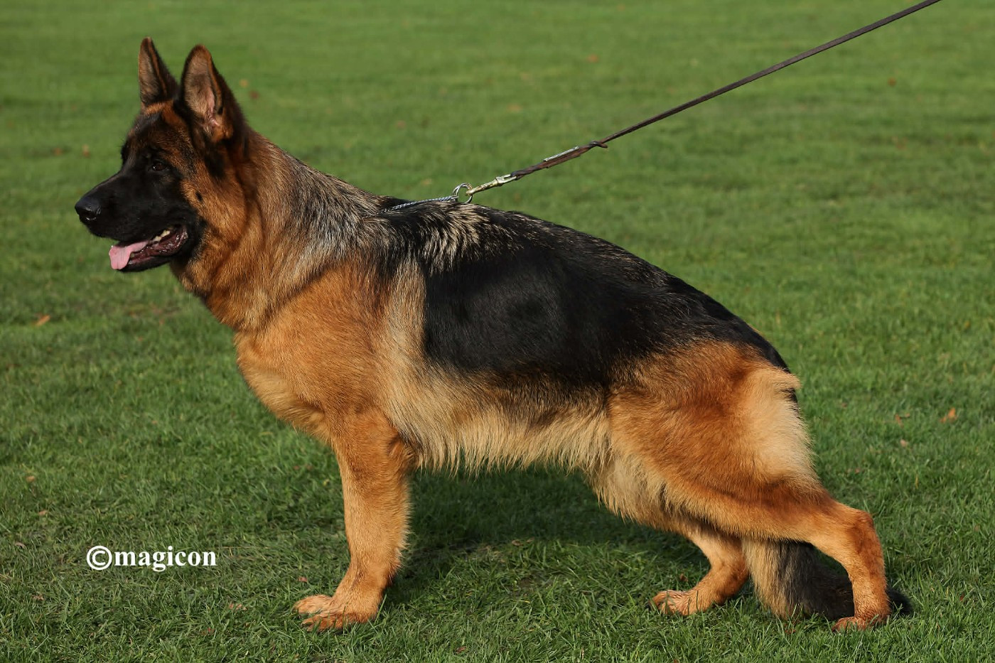 Publication : du Parc a Mitrailles Auteur : creative