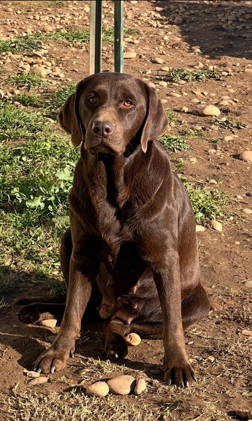 Publication : du clos du barrian 