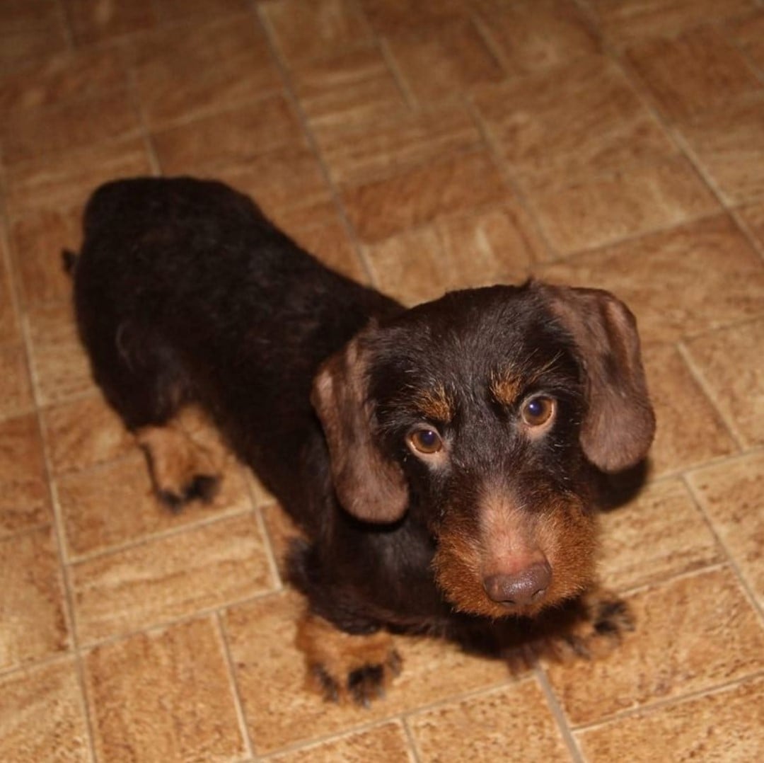 Publication : Du Domaine D'ohcumgache