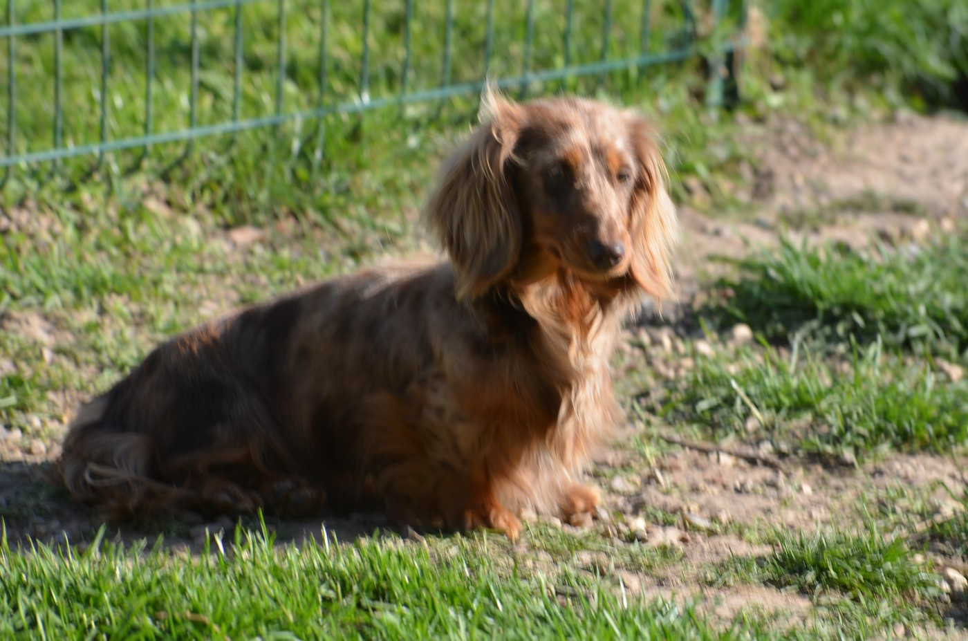 Publication : Du Clos Des Bords De Mer Auteur : quesne pierrette