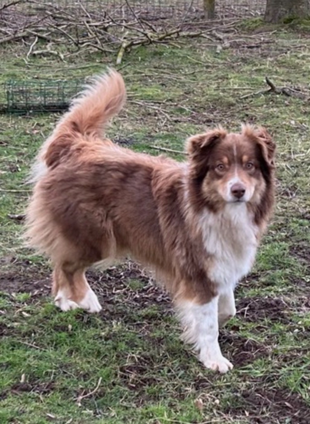 Publication : (Sans Affixe)