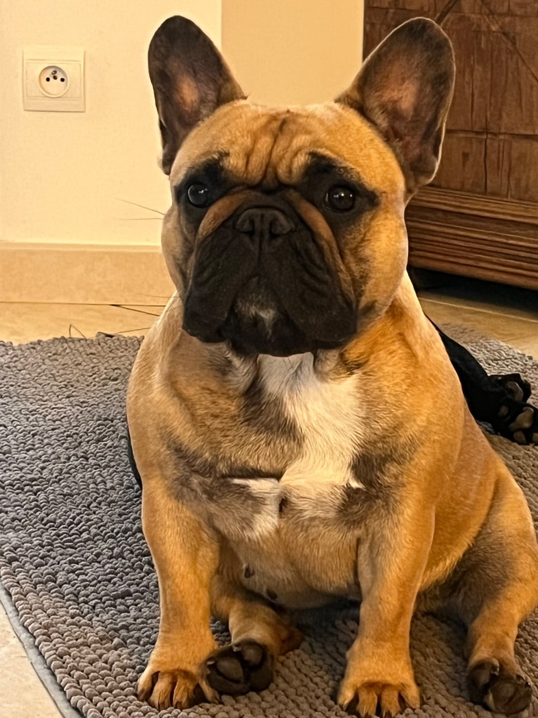 Publication : Elevage du Lac Marin Auteur : MOI MEME