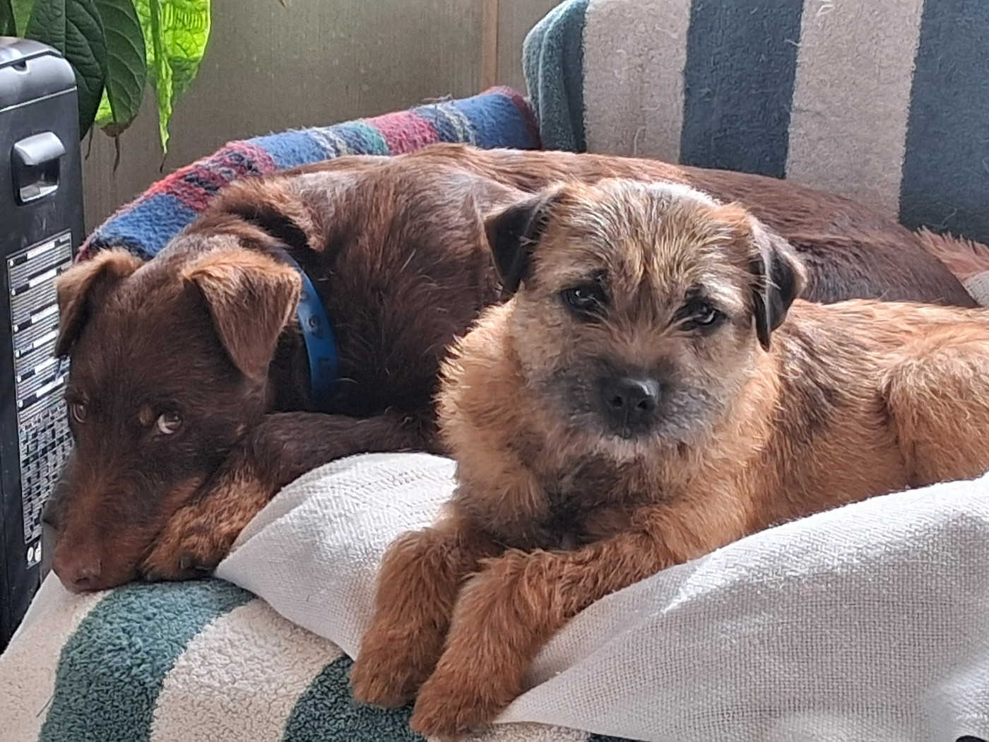 Publication : Of Sharper's Auteur : KATHERINE BOURGEIX