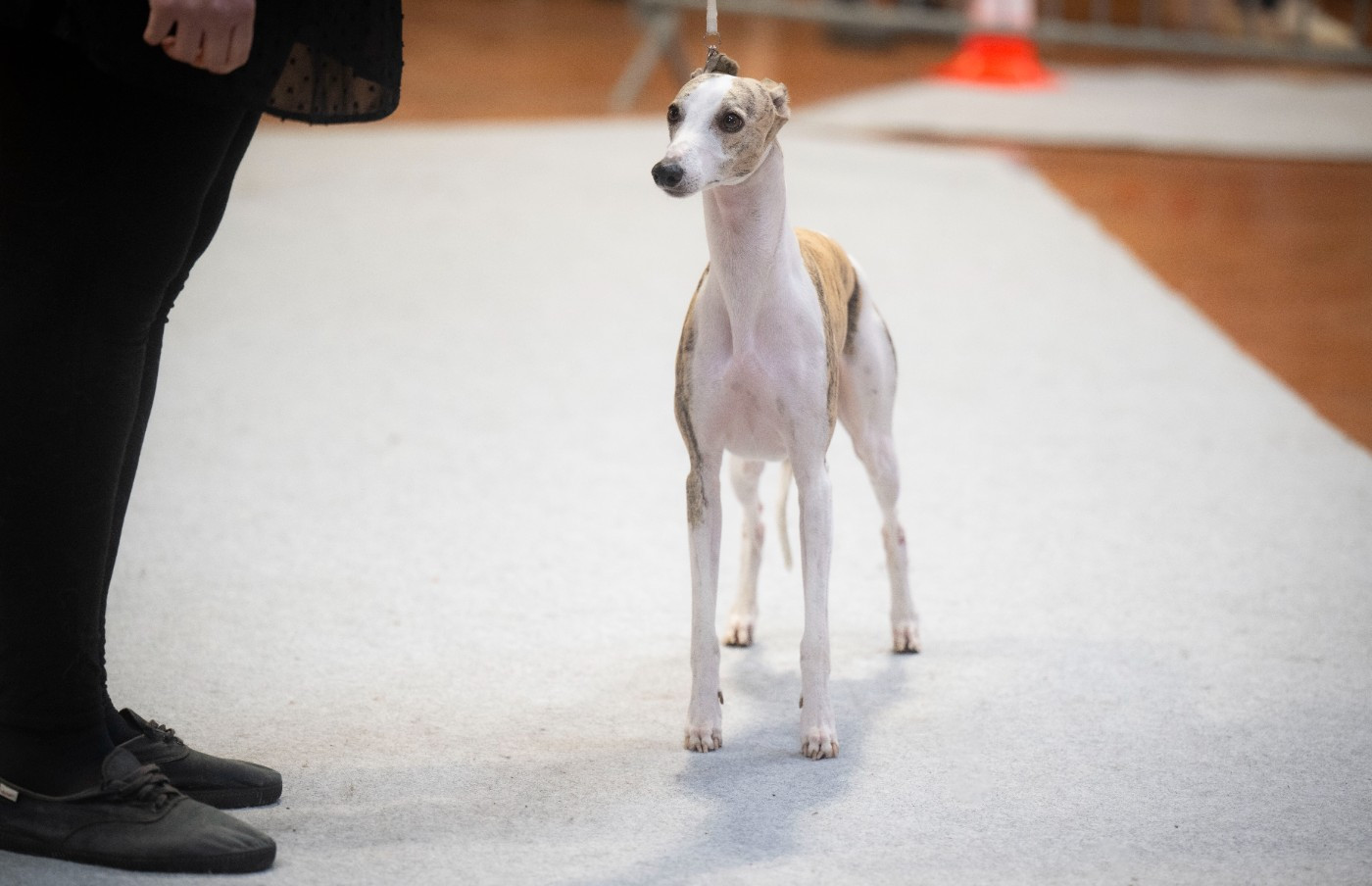 Publication : Estelle Follain Auteur : Mathilde