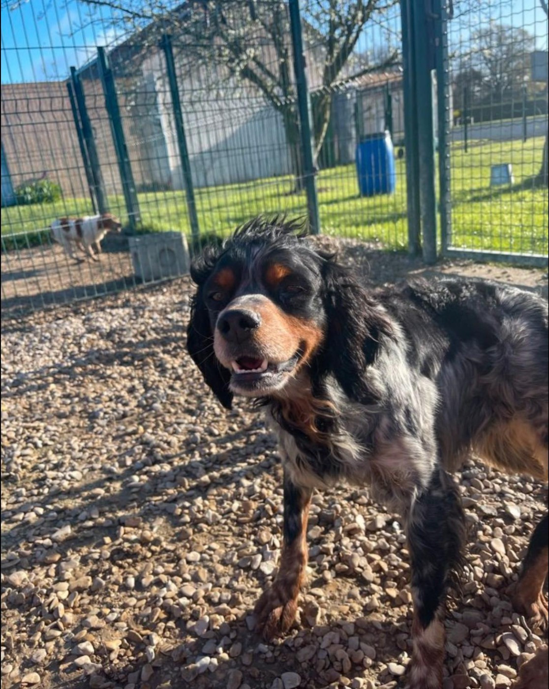 Urus du moulin de Leuville