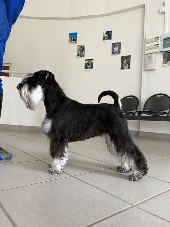 Publication : Du domaine de la villatelle 