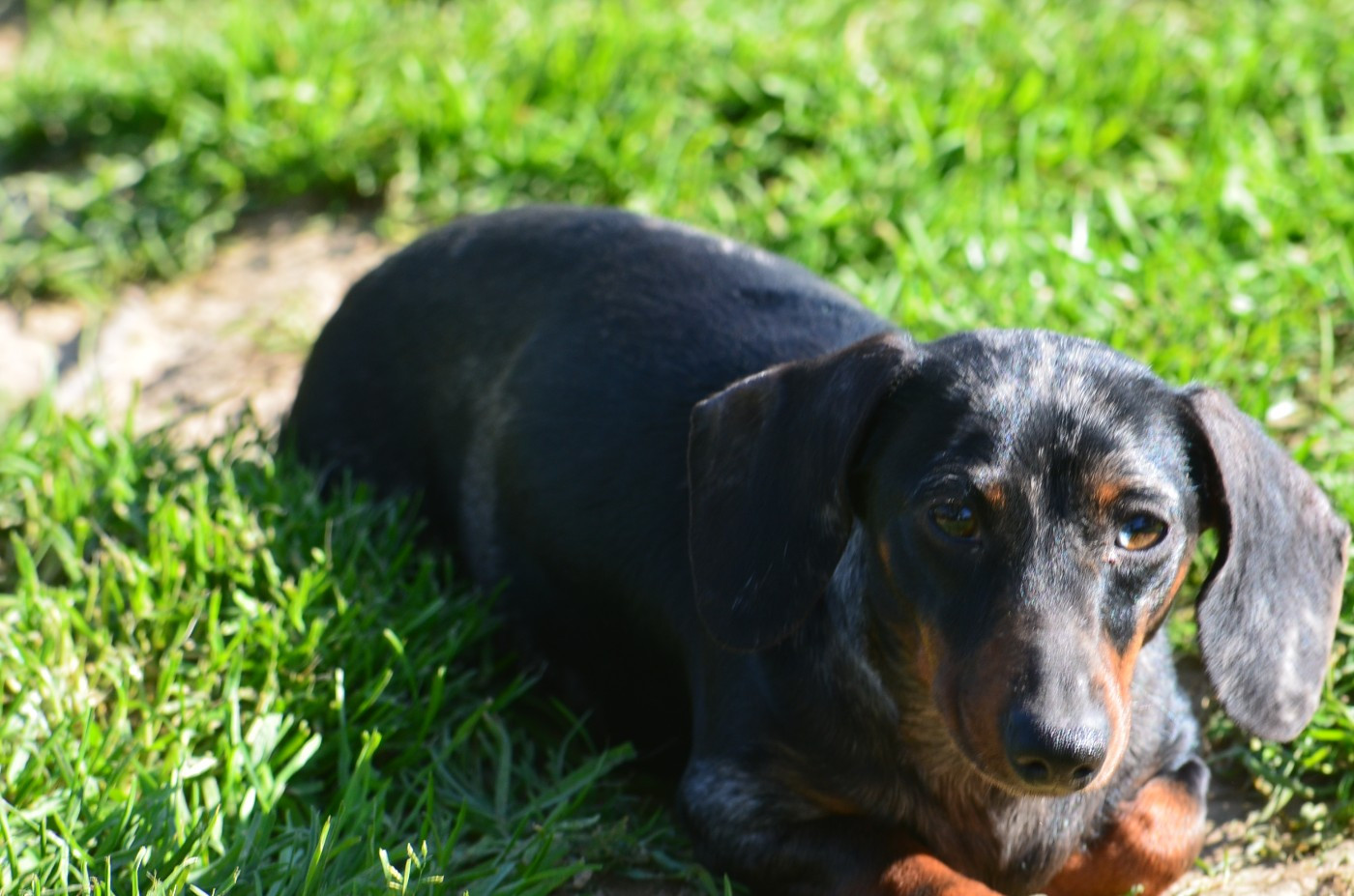 Publication : Du Clos Des Bords De Mer Auteur : quesne pierrette