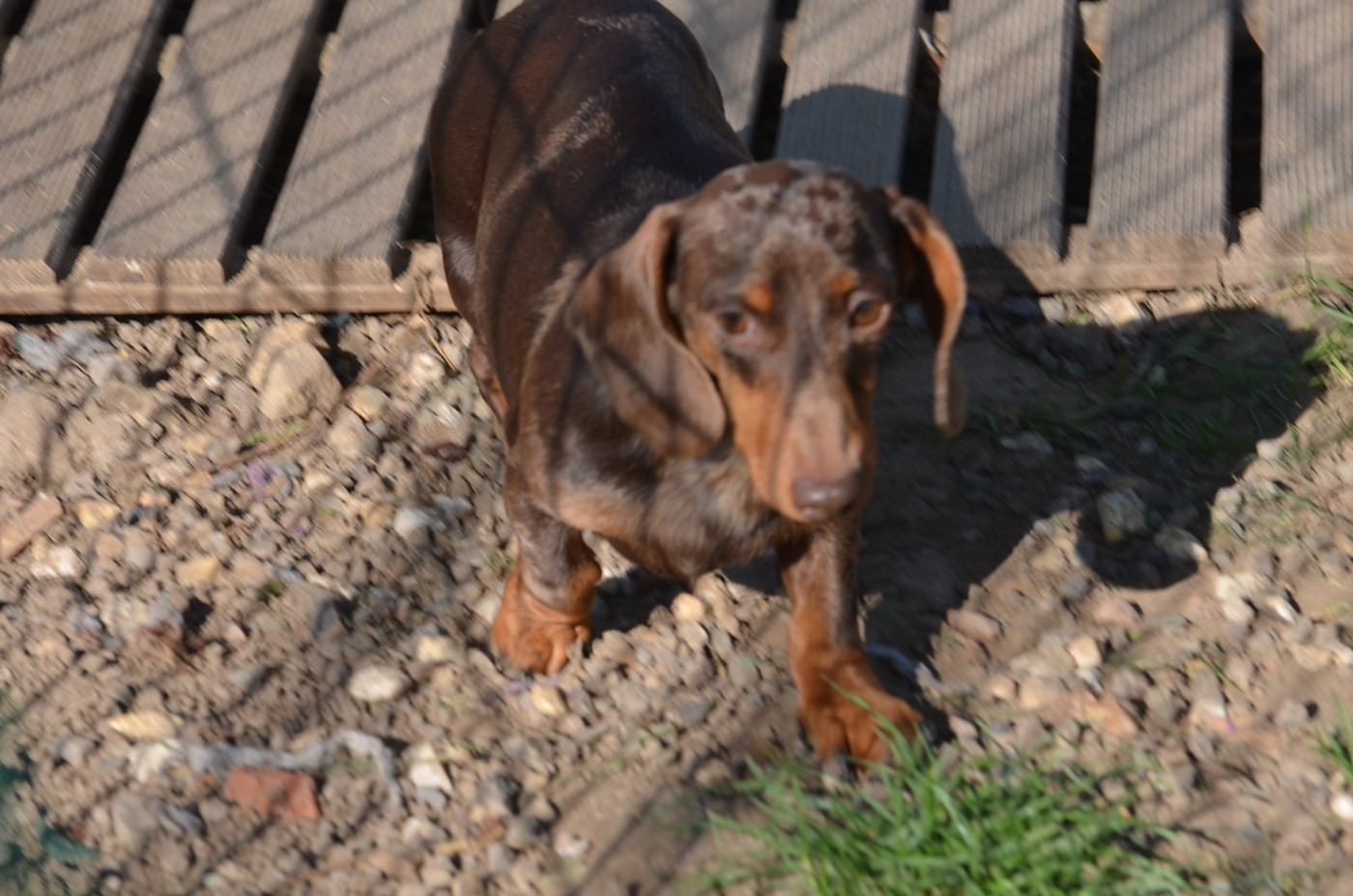 Publication : Du Clos Des Bords De Mer Auteur : quesne pierrette