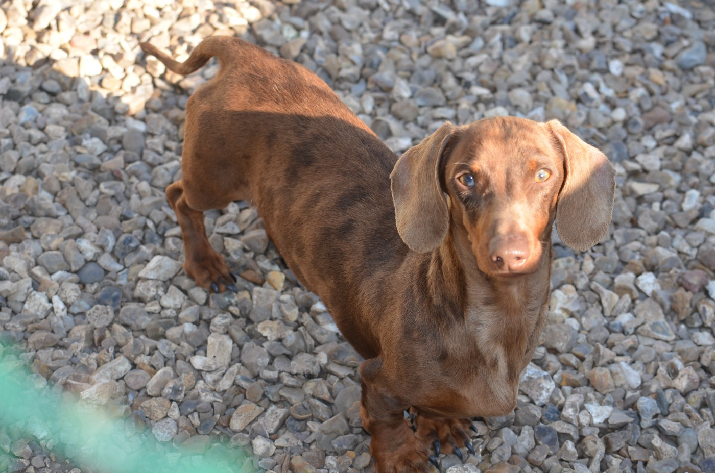 Publication : Du Clos Des Bords De Mer Auteur : quesne pierrette