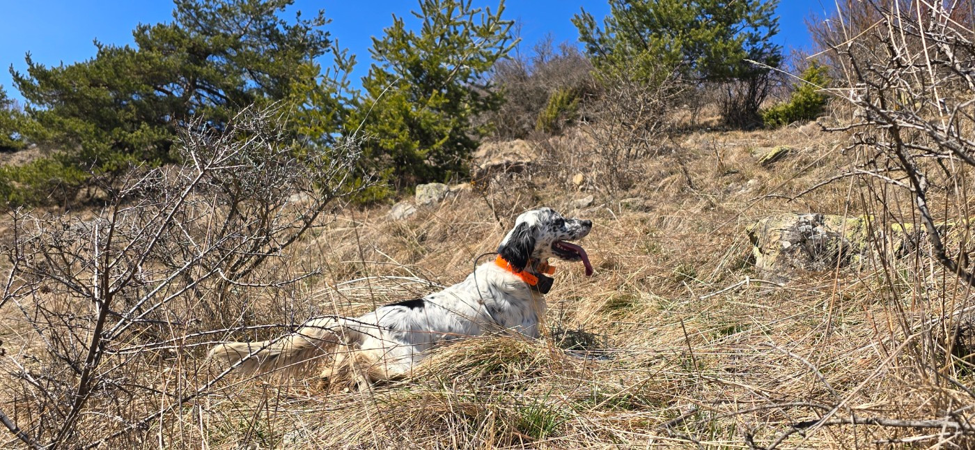 USSANE du mas des Vernets