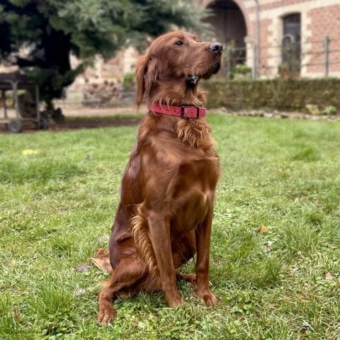 Publication : Des terres du doux lieu Auteur : Hugo houdan