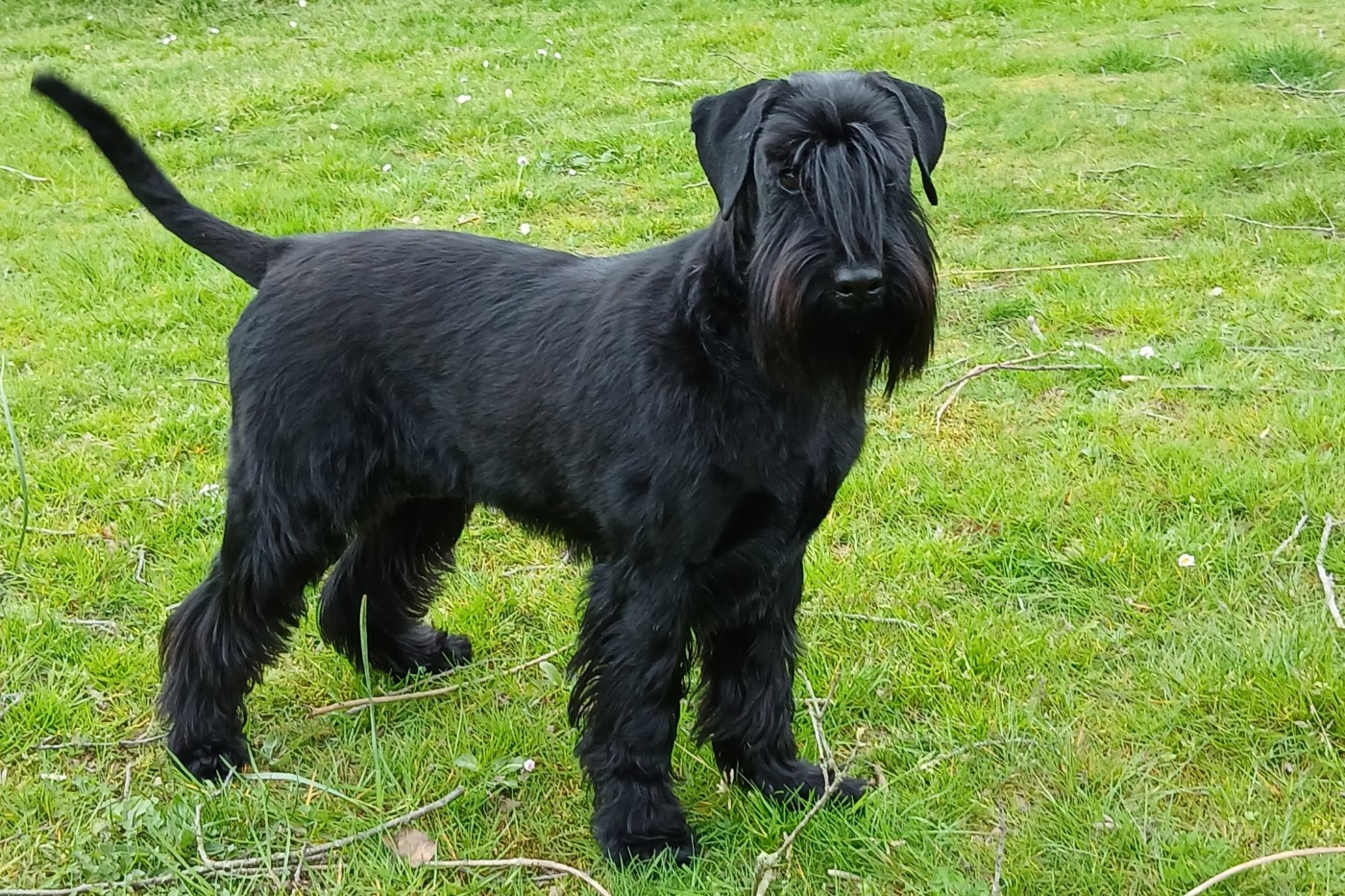 Publication : Du Clos De La Rochardiere Auteur : MCDevillez