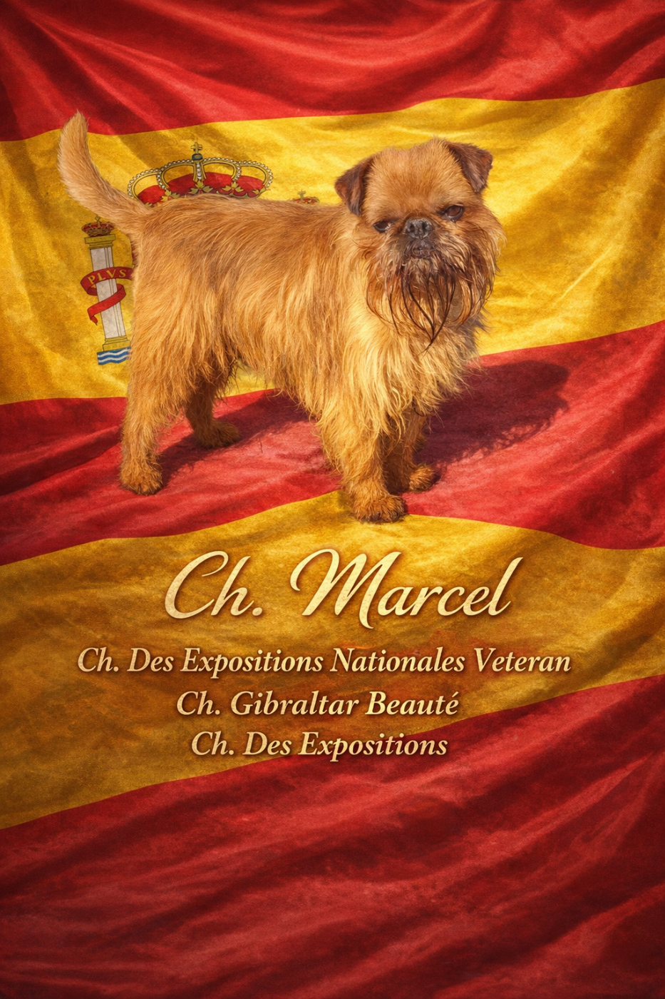 CH. los chatos del norte Don't stop me now dit MARCEL