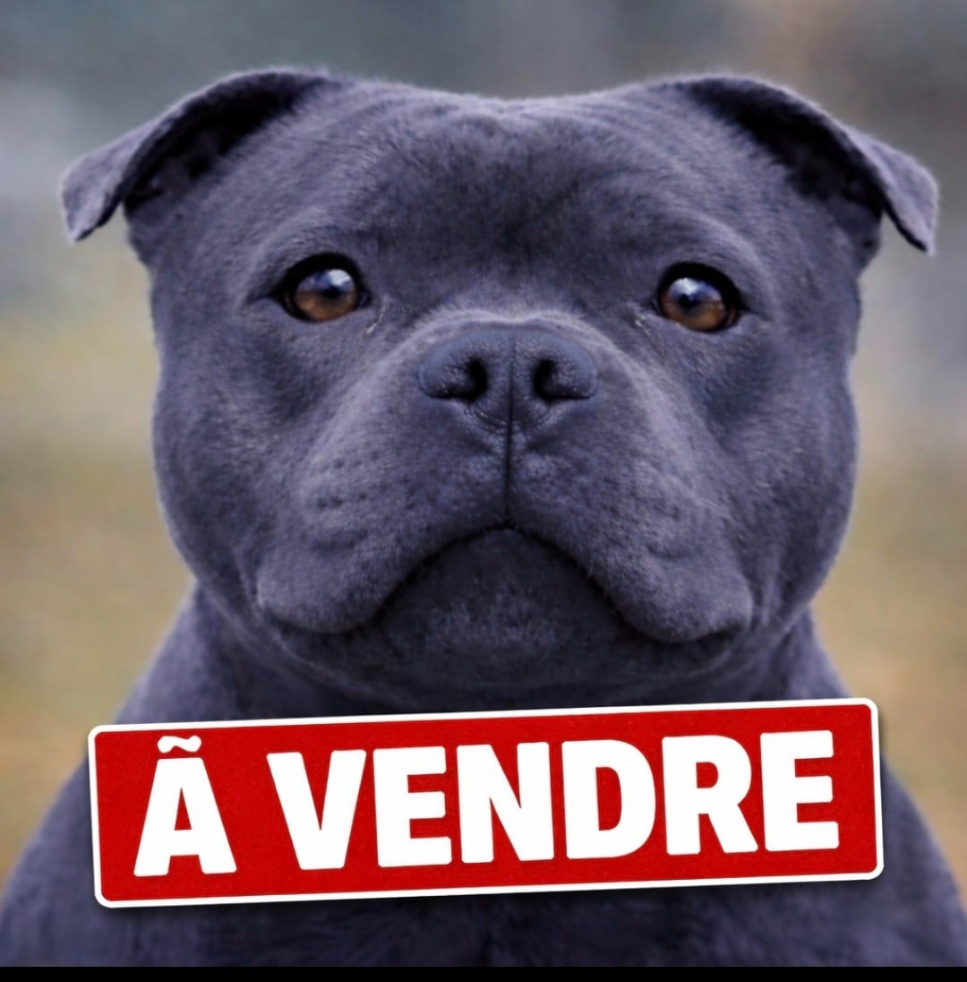 Publication : du domaine des Alunts Auteur : Domaine des Alunts