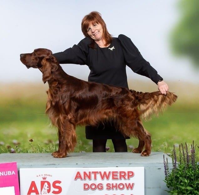 FHIONNAN DREAM STARS VOTE FOR PRESIDENT