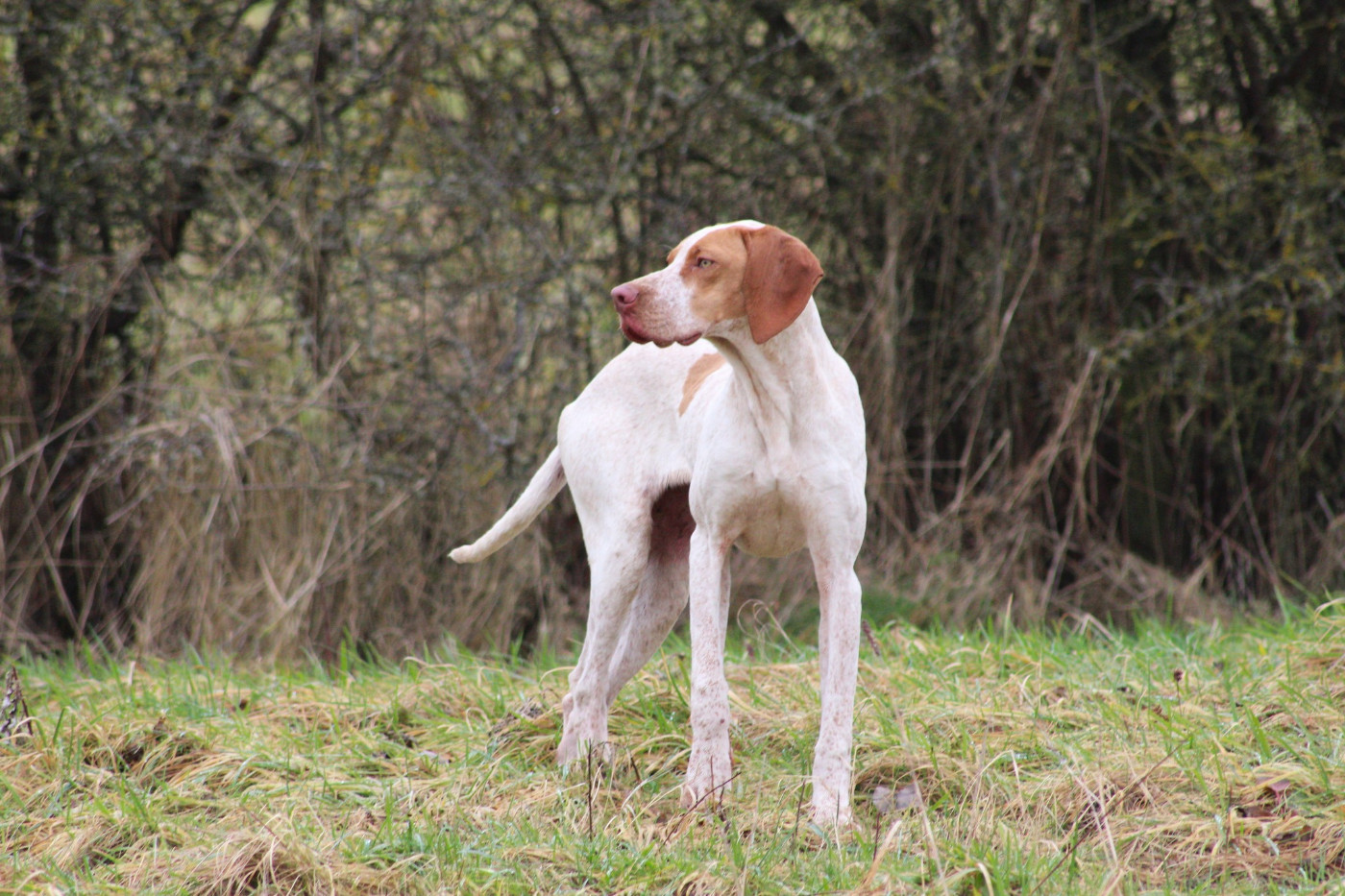 Publication : Catching Spots 