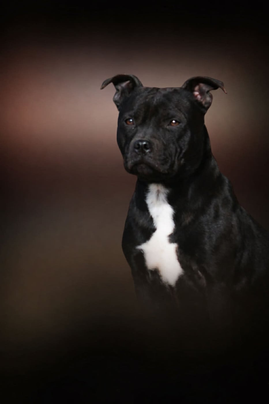 Publication : Du Domaine De Roujus