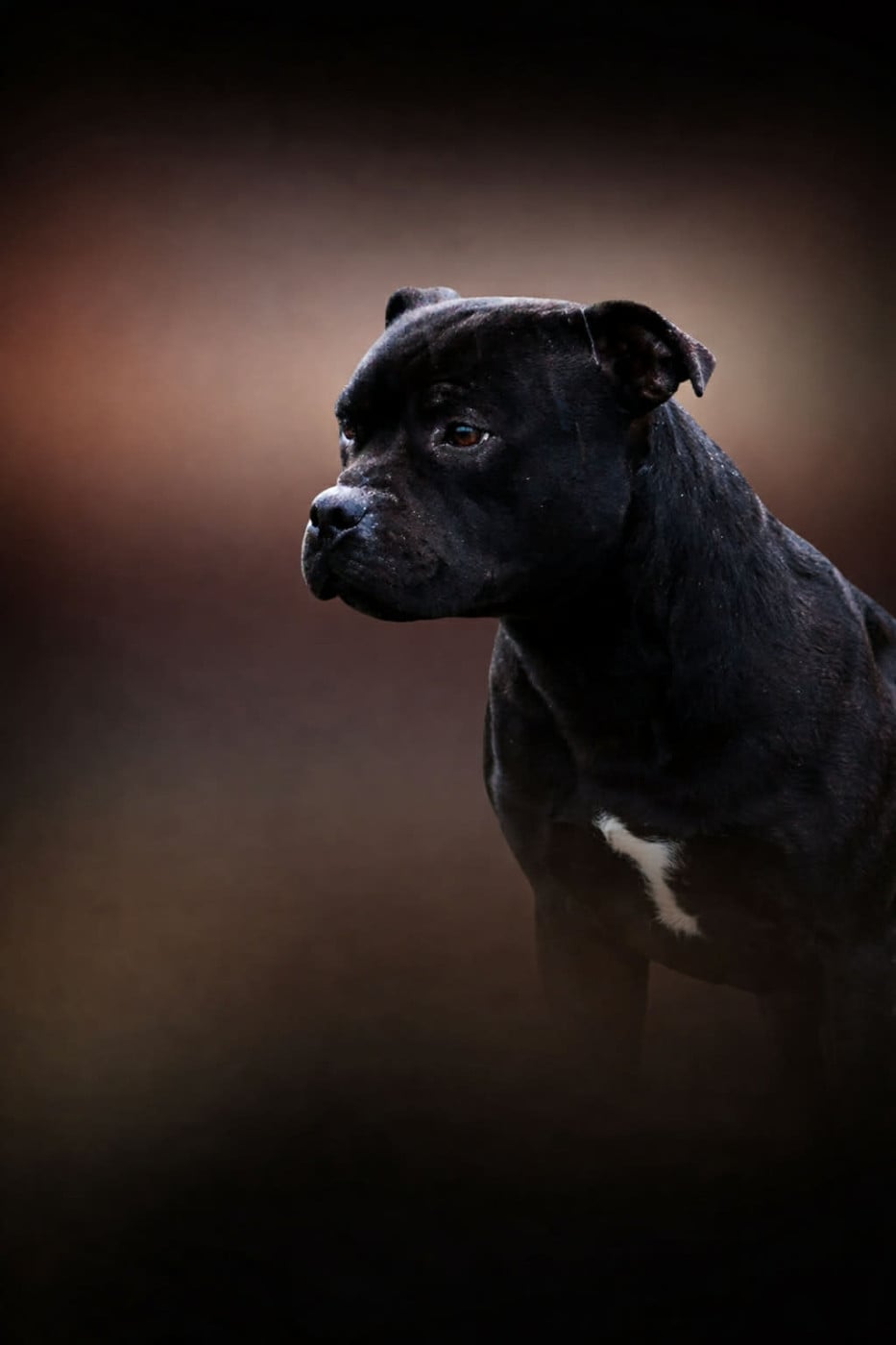 Publication : Du Domaine De Roujus