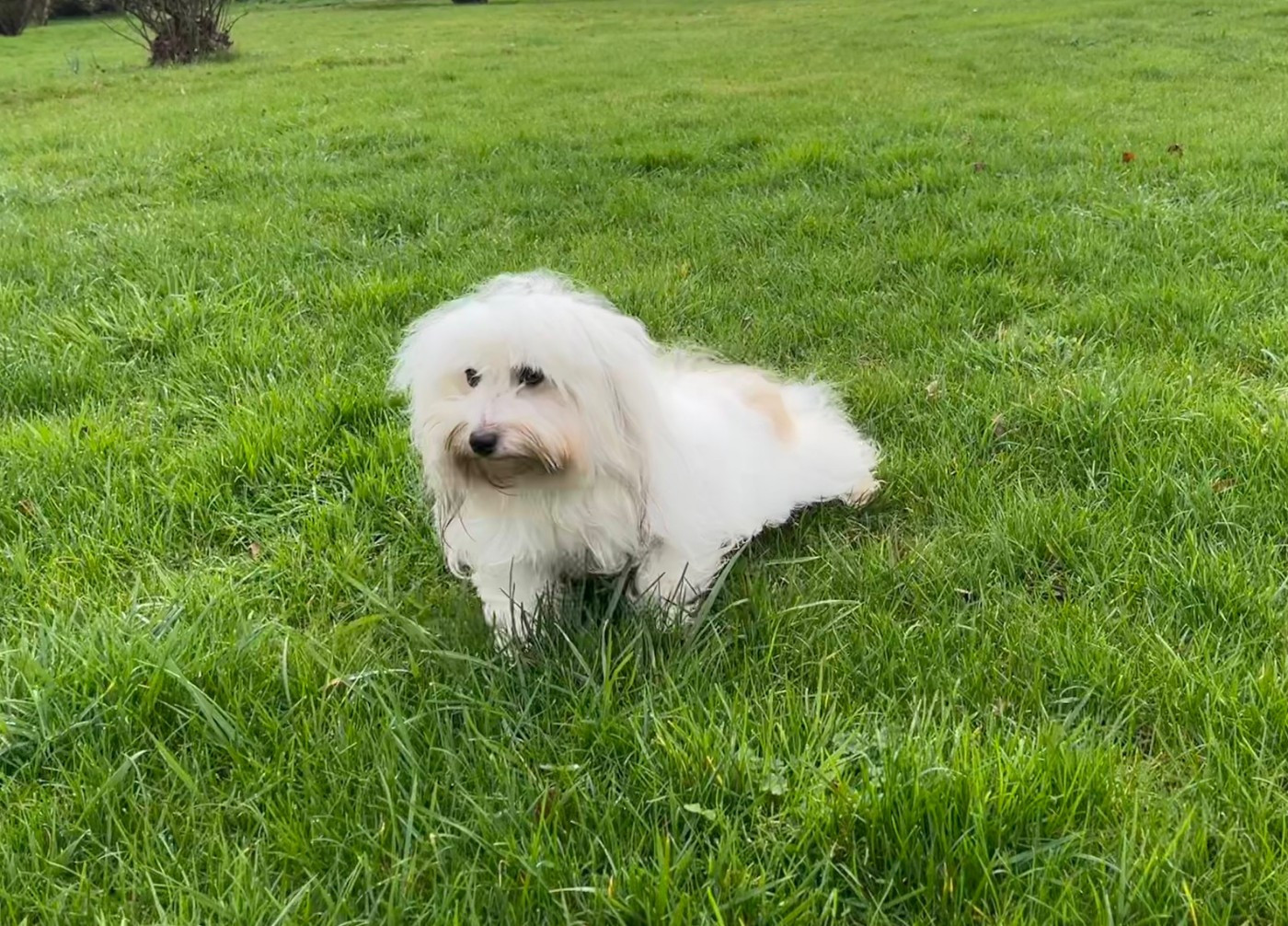 Publication : Des Sentiers du Perche