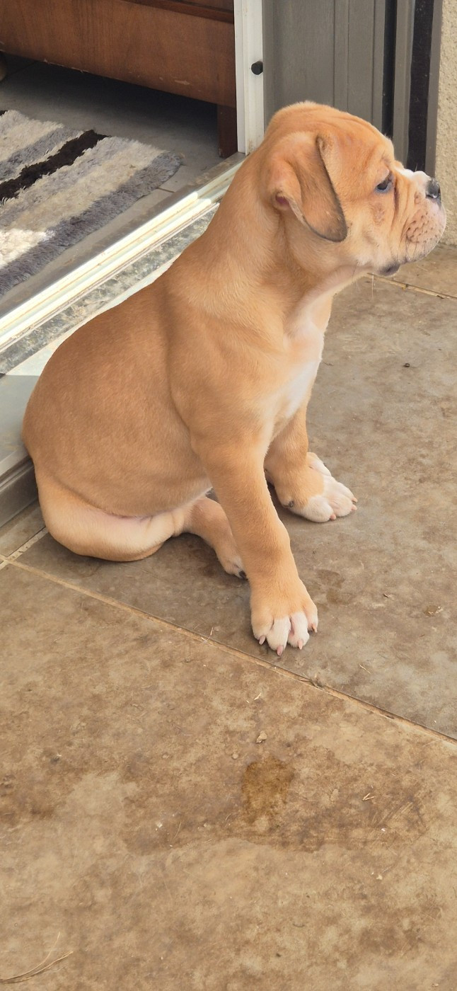 Publication : des Jardins de Sable