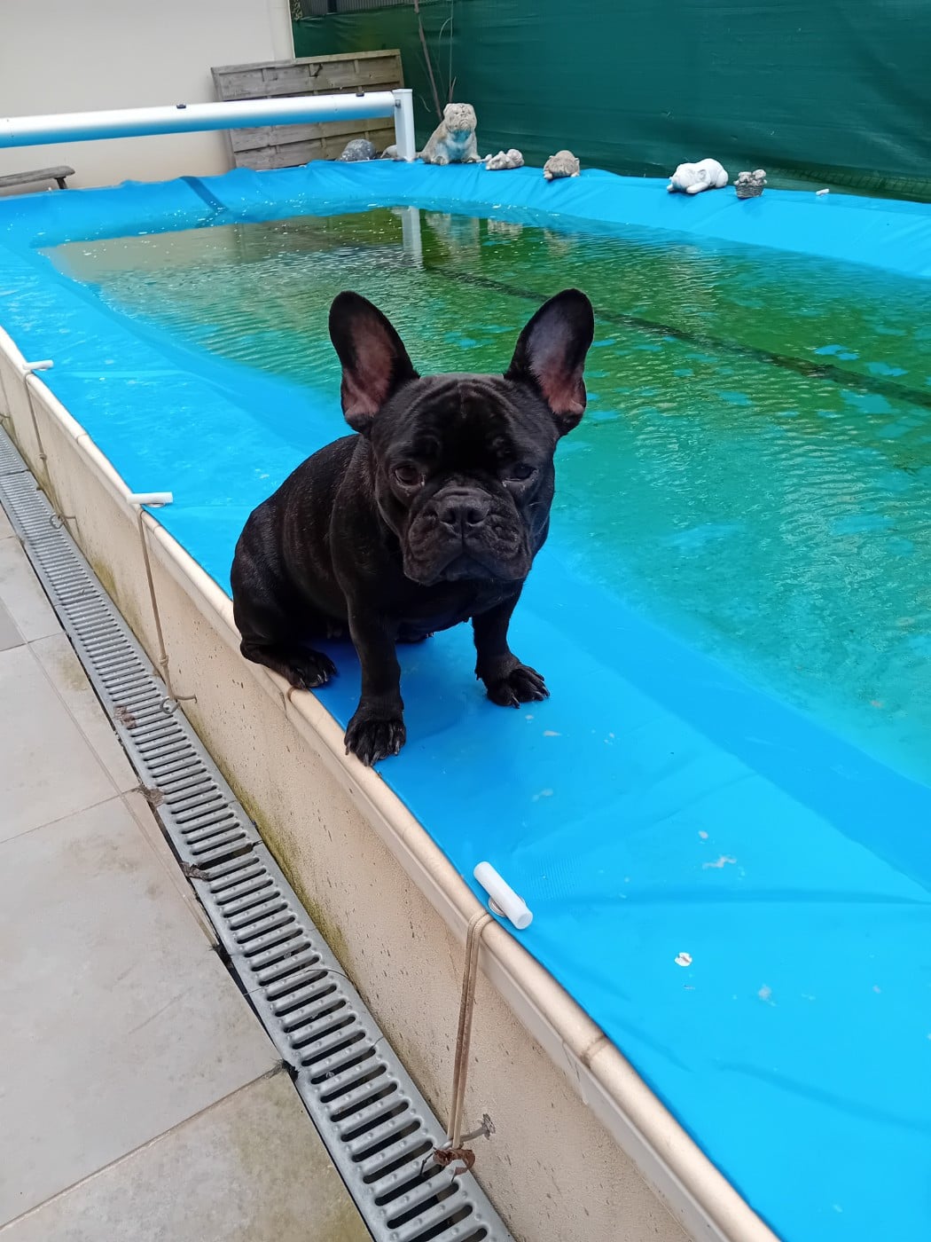 Publication : des Jardins de Sable 