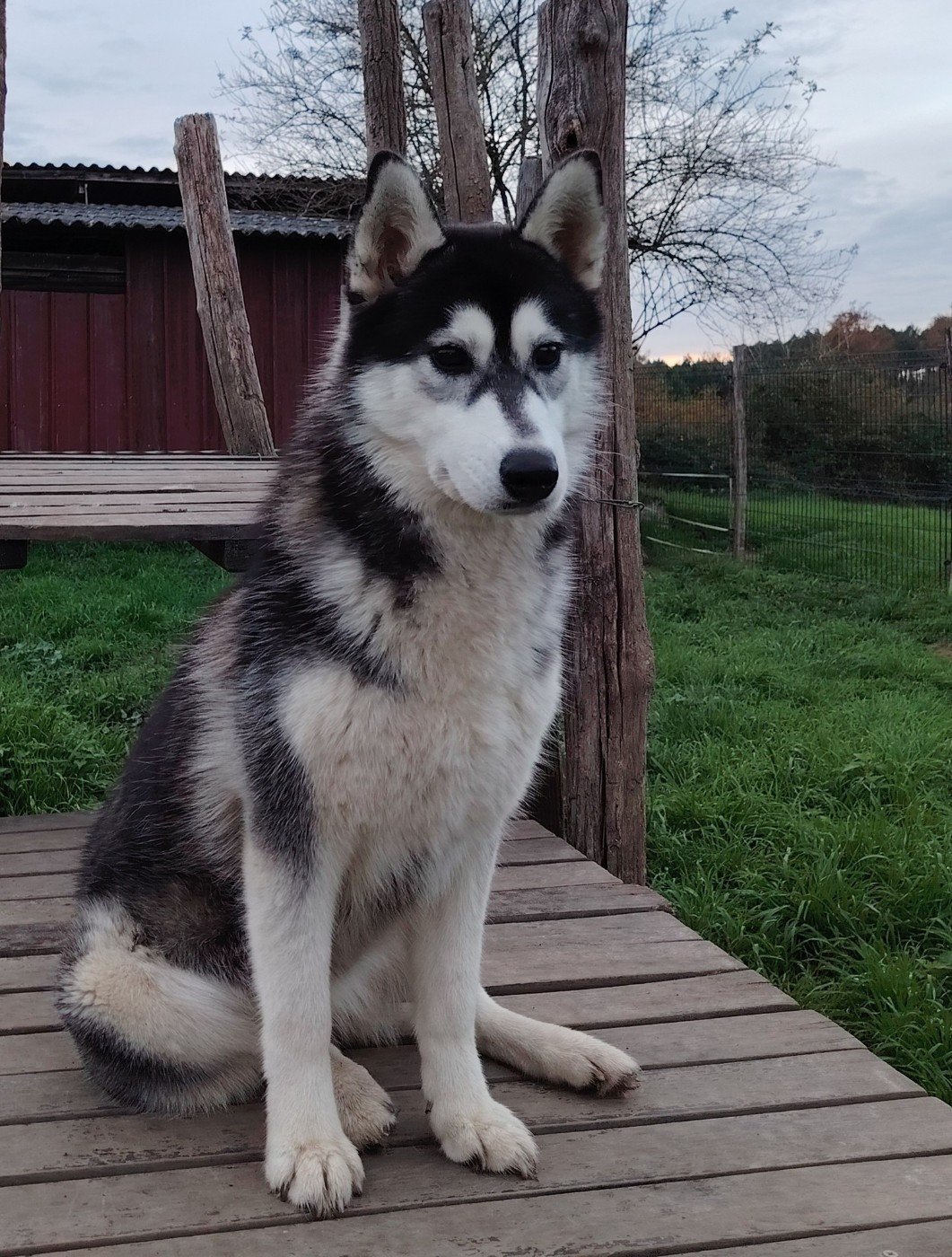 Publication : Of Artic West Wind 