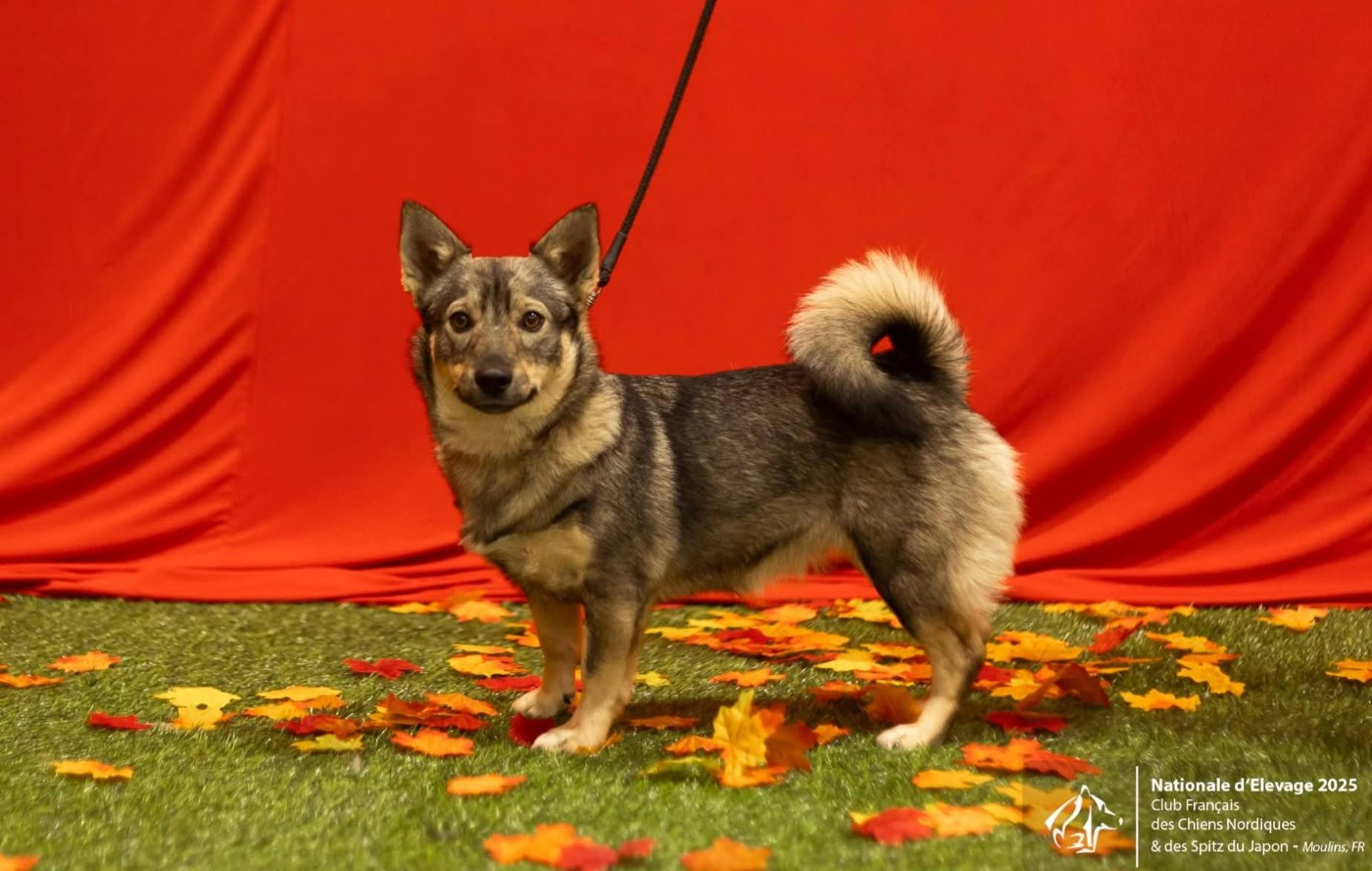 Publication : Des Gardiens De Talbes 