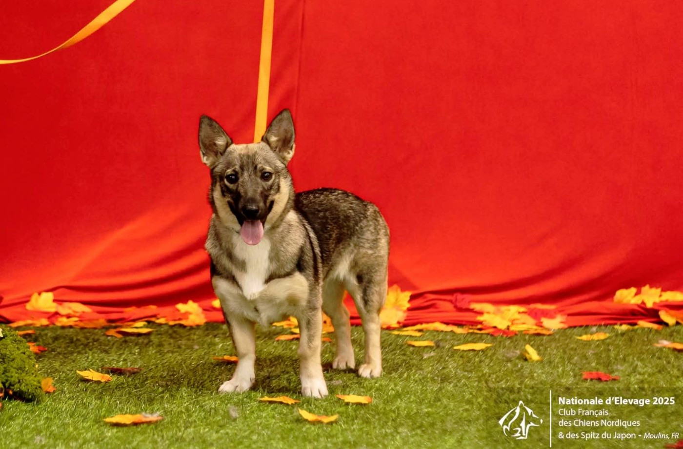 Publication : Des Gardiens De Talbes 