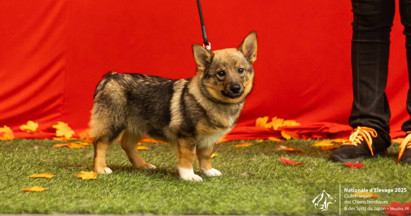 Publication : Des Gardiens De Talbes 