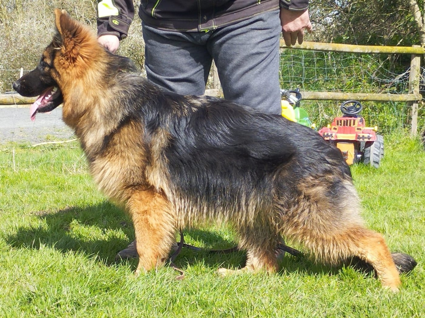 Publication : Du Logis De Caline Auteur : EMMANUEL JACQUES