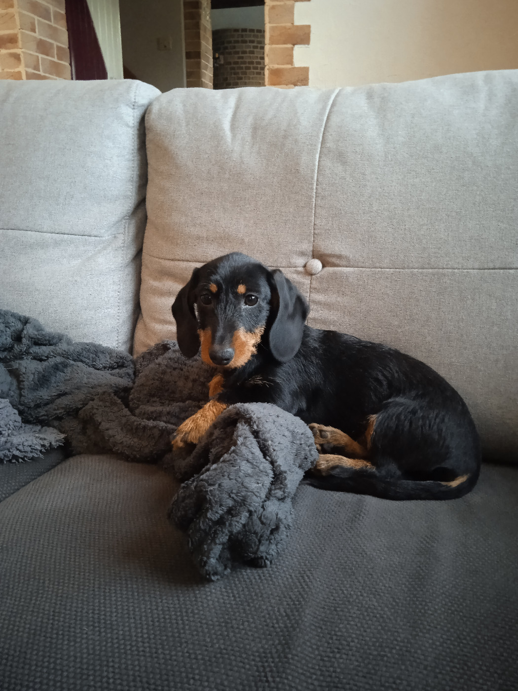 Publication : du Magicien D'Oz 