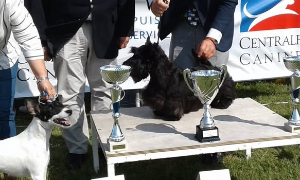 Publication : Gaterin 