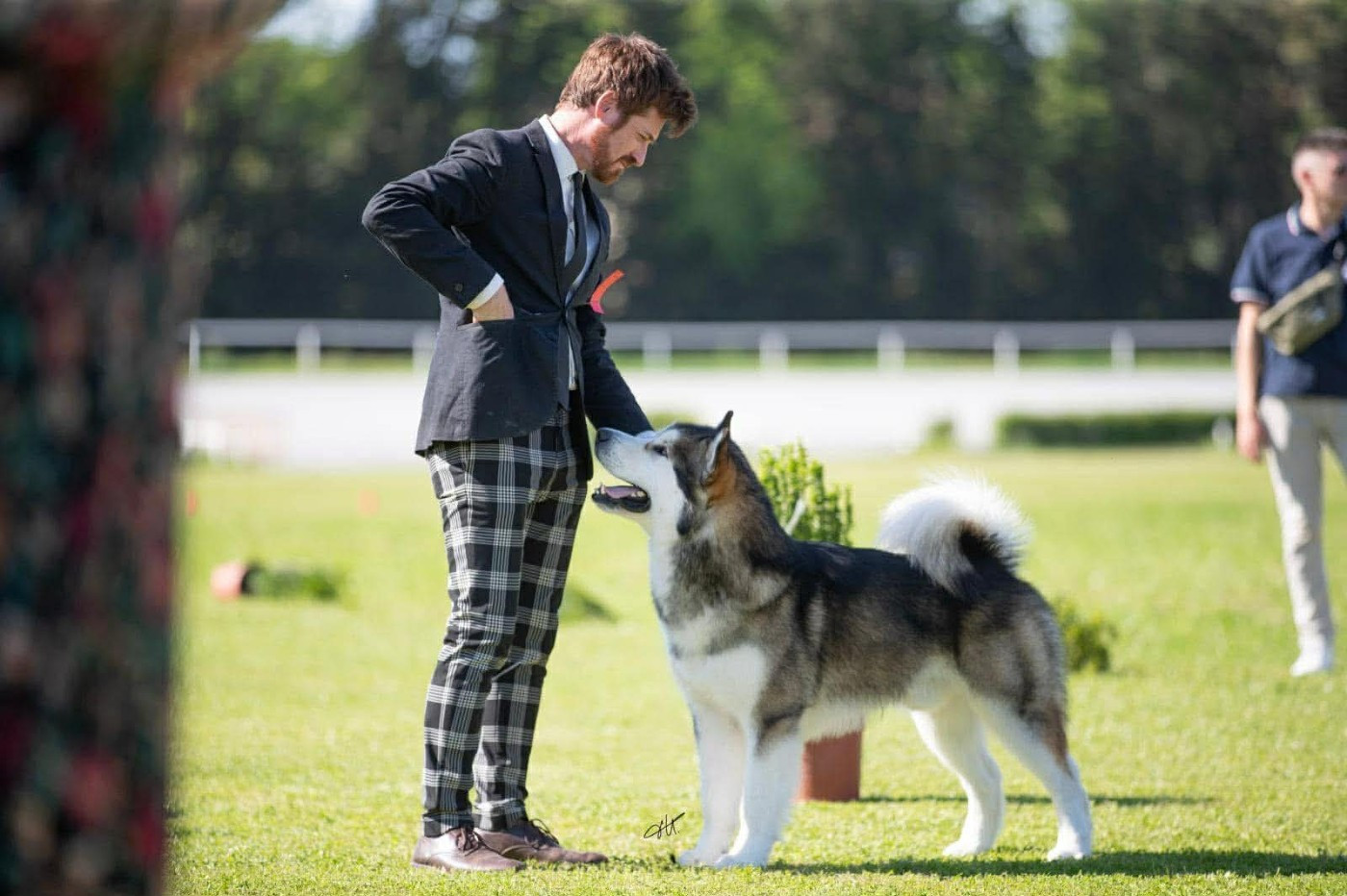 Publication : Nooak Snow 