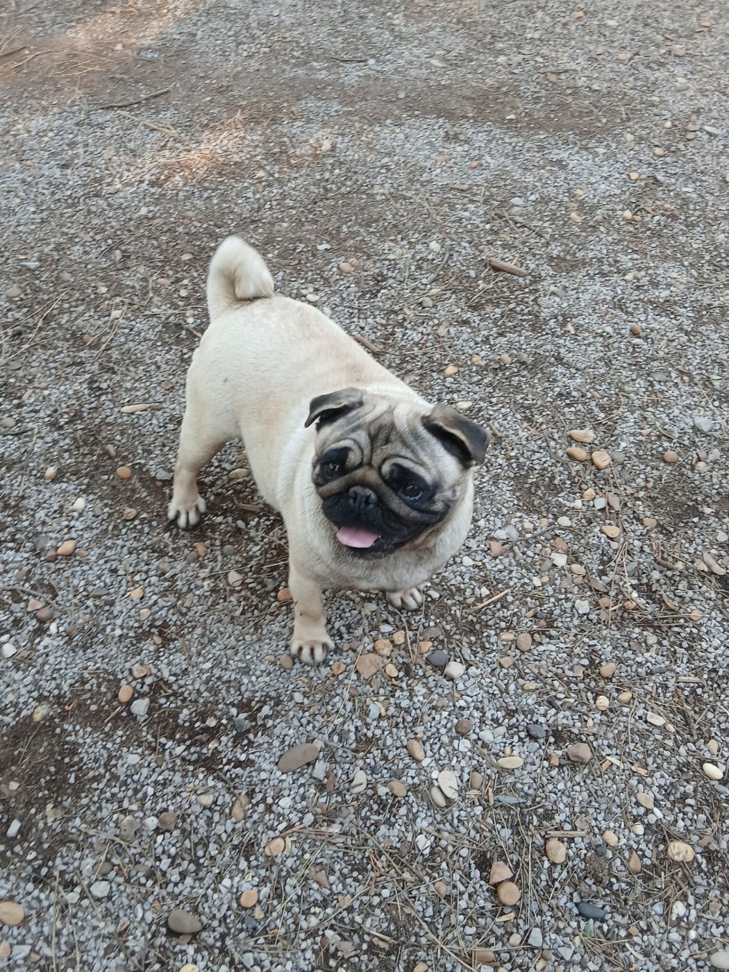 Unia des causses de puymerle