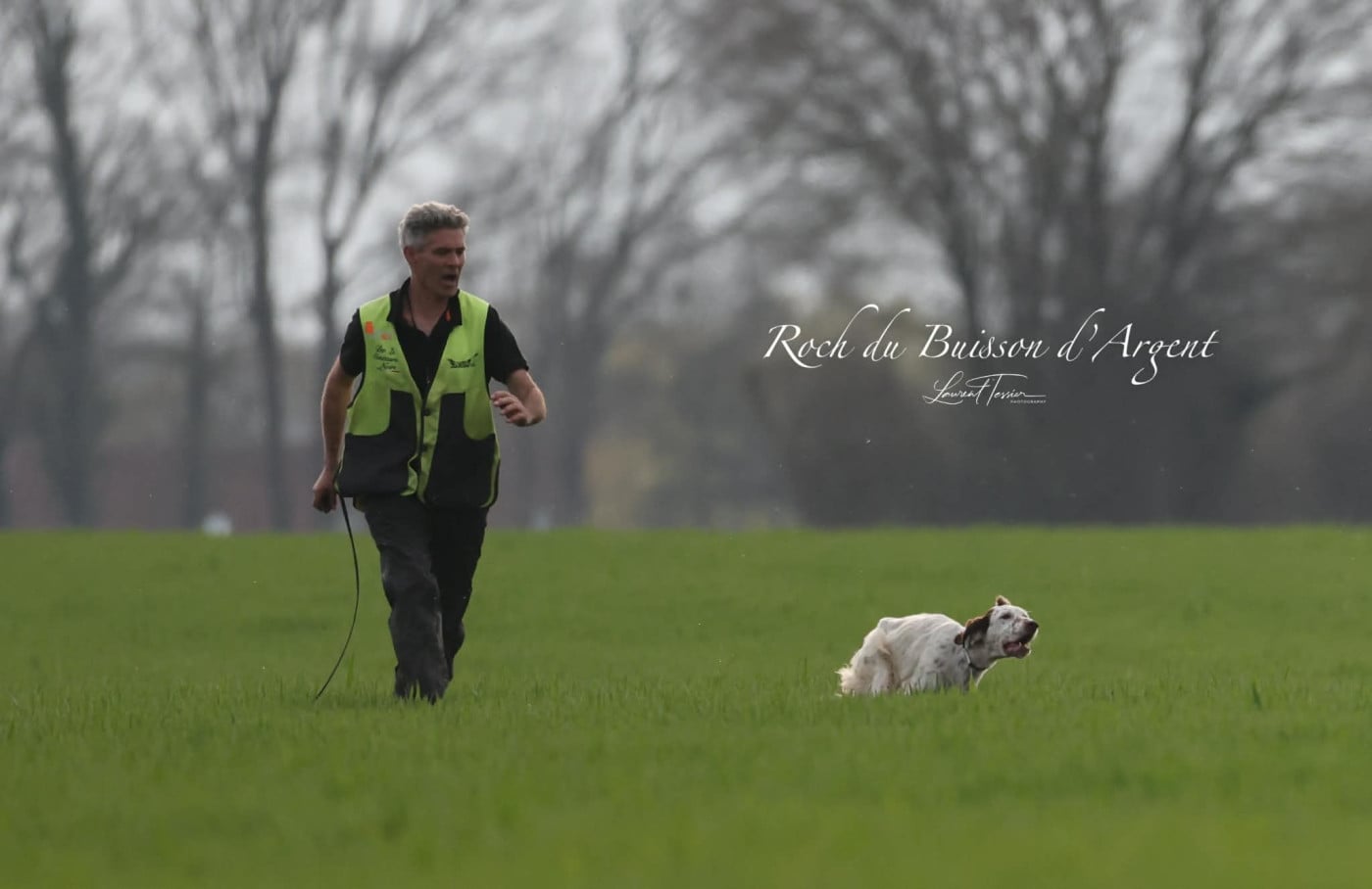 ROCH Du buisson d'argent