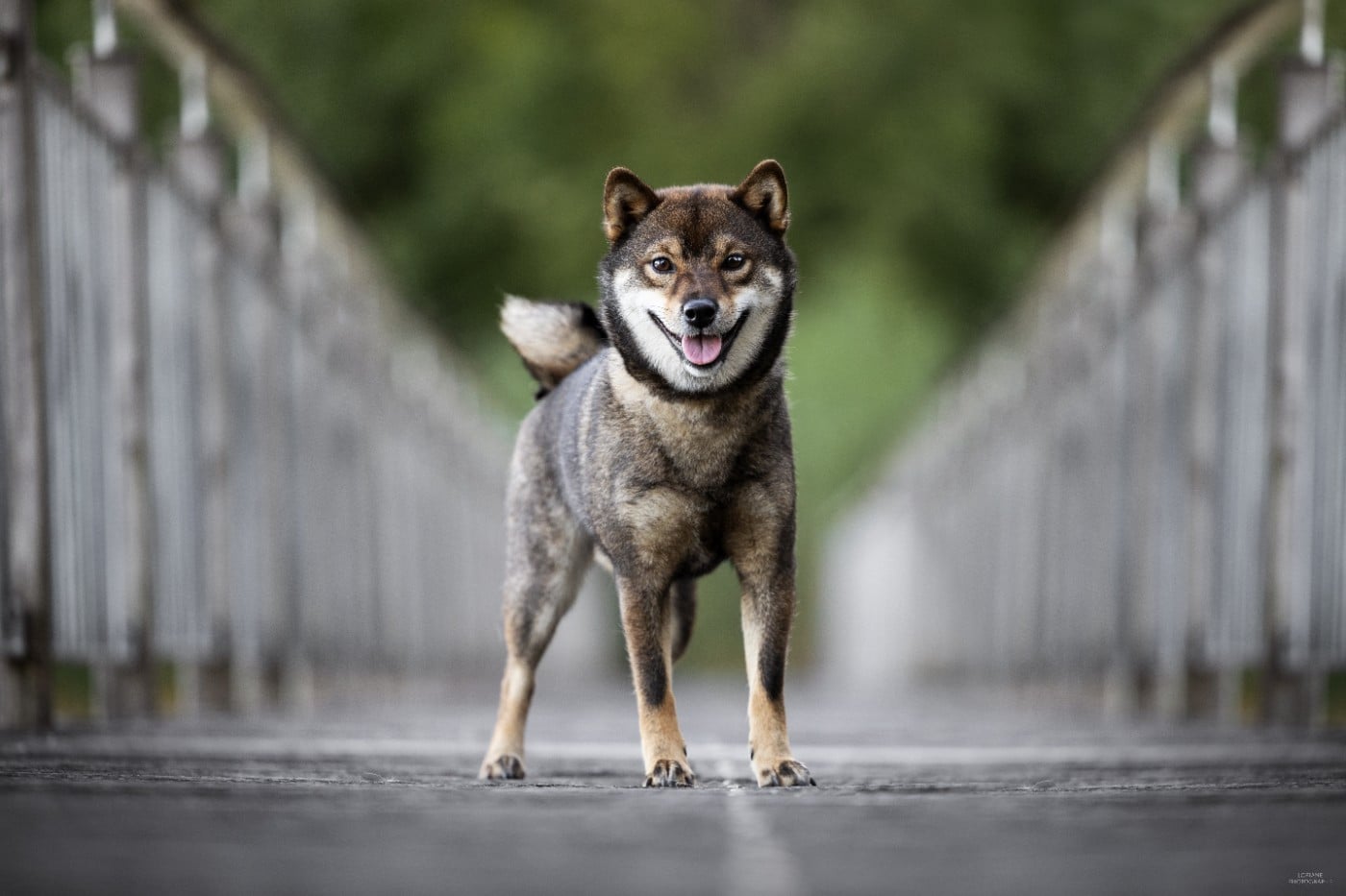 Publication : Of Paradisiac Life Auteur : Loriane Photographe