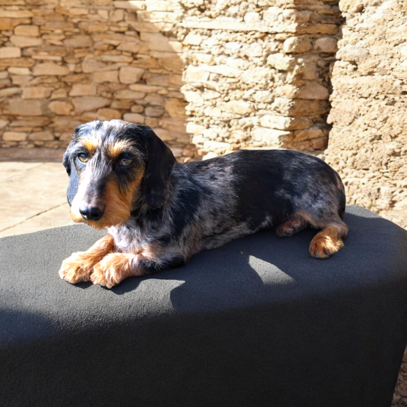 Publication : Du Domaine D'ohcumgache 