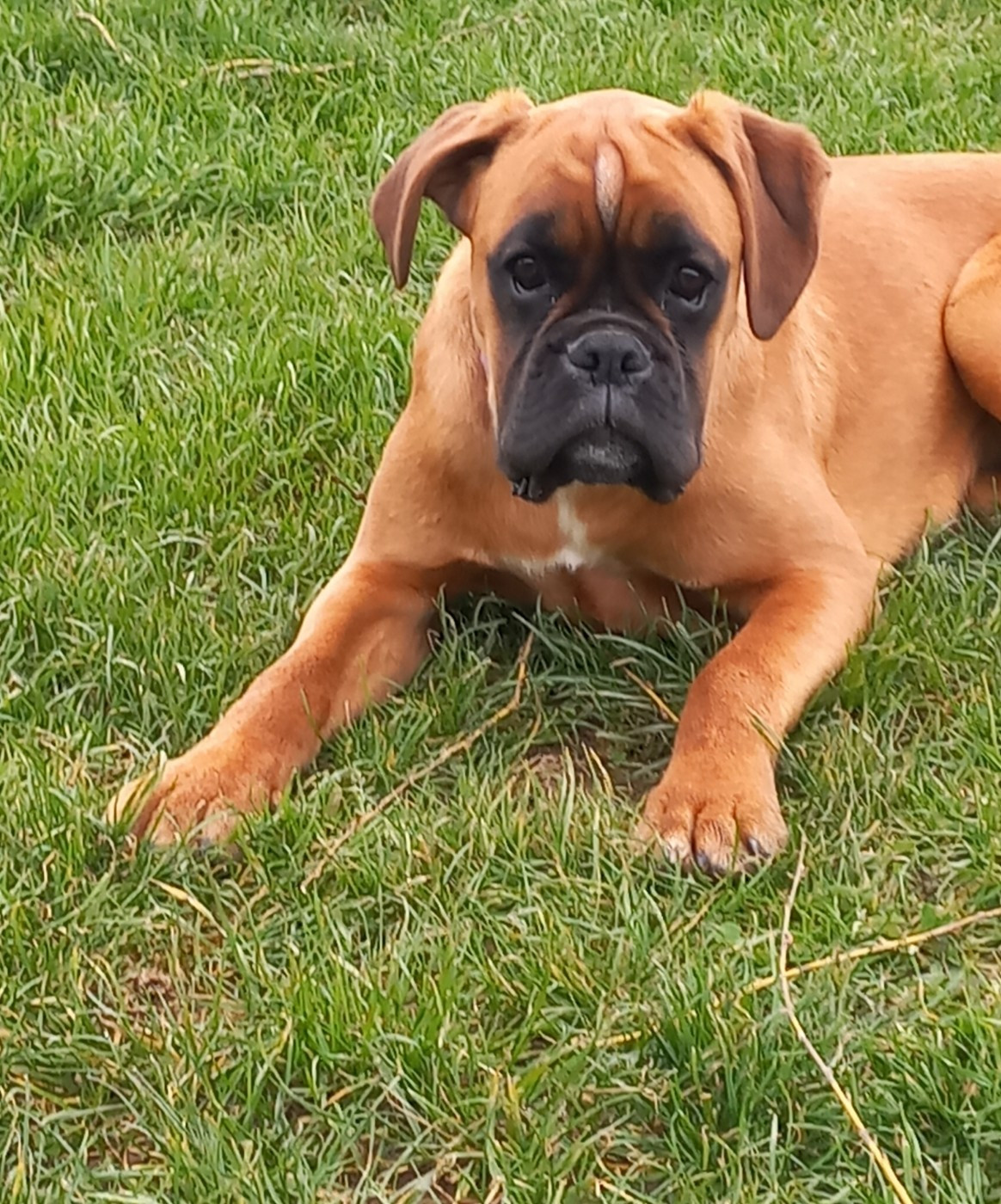 Publication : Du clos sara Auteur : Carole Quesnel