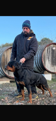 image de KLABAUTERMANN