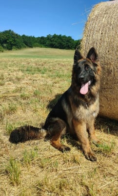 Sukha Des Crets De Charmont