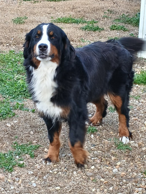 Utopie du domaine de la Rocherie