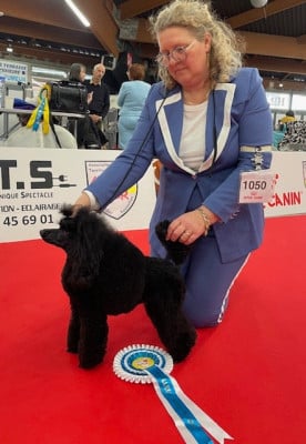 CH. Une fantaisie des cerbois de la cheneveyre